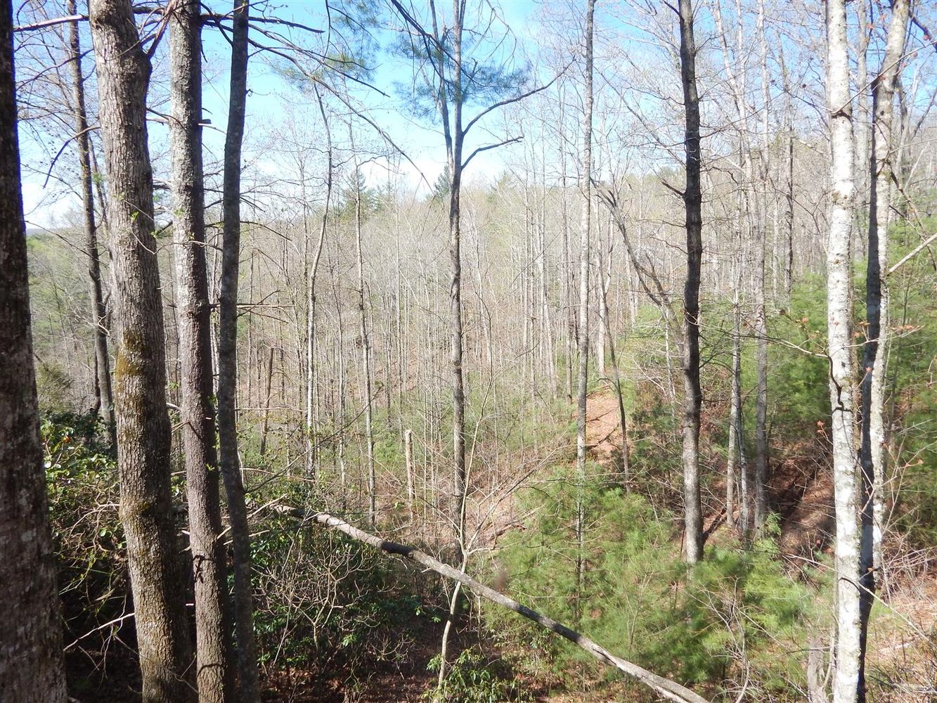 0 Furman Drive, Hendersonville, NC 28739